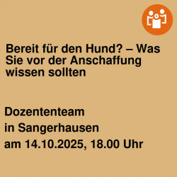 Bereit für den Hund? – Was Sie vor der Anschaffung wissen sollten