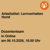 Arbeitstitel: Lernverhalten Hund
