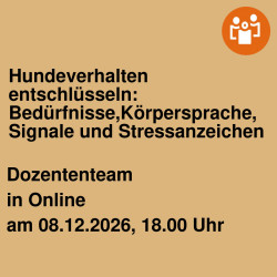 Hundeverhalten entschlüsseln: Bedürfnisse,Körpersprache, Signale und Stressanzeichen