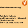 Weinblütenwanderung