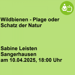 Wildbienen - Plage oder...