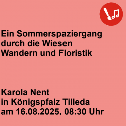"Ein Sommerspaziergang...
