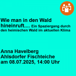 Wie man in den Wald hineinruft... Ein Spaziergang durch den heimischen Wald im aktuellen Klima