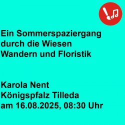 "Ein Sommerspaziergang durch die Wiesen"  Wandern und Floristik