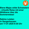 Biene Majas wilde Schwestern - virtuelle Reise mit einer Wildbiene über die Sommerwiese