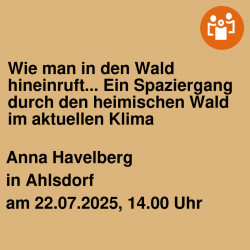 Wie man in den Wald hineinruft... Ein Spaziergang durch den heimischen Wald im aktuellen Klima