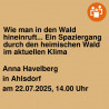 Wie man in den Wald hineinruft... Ein Spaziergang durch den heimischen Wald im aktuellen Klima